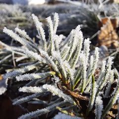 В Кузбассе ожидаются похолодание и сильный ветер В Кузбассе ожидаются похолодание и сильный ветер