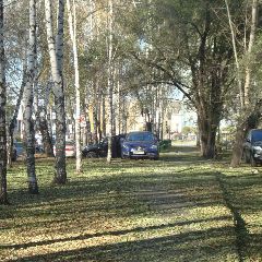 � �������� ��������� �������� �����