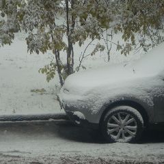 В Кузбассе в воскресенье ожидаются дождь, мокрый снег и гололёд В Кузбассе в воскресенье ожидаются дождь, мокрый снег и гололёд