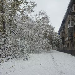 В Кузбассе к концу недели ожидается похолодание В Кузбассе к концу недели ожидается похолодание