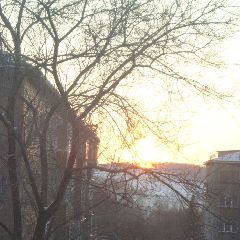 К концу недели в Кузбассе похолодает К концу недели в Кузбассе похолодает