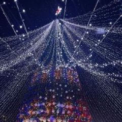 В Новокузнецке на новогоднее оформление Площади защитников Донбасса потратят почти 3,8 млн (ФОТО) В Новокузнецке на новогоднее оформление Площади защитников Донбасса потратят почти 3,8 млн (ФОТО)