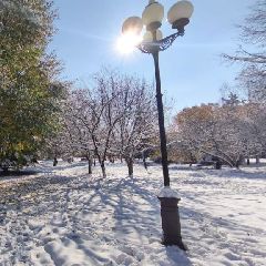 В Кузбассе ожидаются потепление и гололедица В Кузбассе ожидаются потепление и гололедица