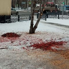 � ������������ ���������� ������ ������ �� ������� ����� (����)