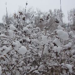 � �������� ��������� ��������� � ��������� ����������� � ����� ������