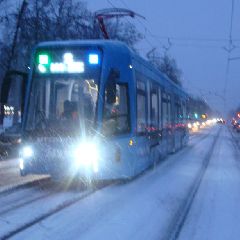 � ������������ ������������ �������������� ����������� ������������