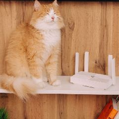 ������� � ��� ������ �������: ��� �������� ��������� ������ ��������� �� ��������