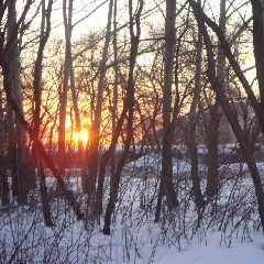 � �������� �� �������� ��������� �������� ����������� � �������� ������� ��������