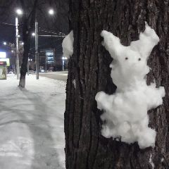 � ����������� ���� ������ � �������� ������� ��������