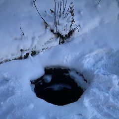 ������������� �������� ������� �������� ������� � ��� (����)