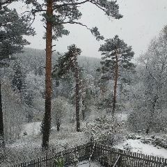 � ��������� ��� � �������� ����� ����� � ������