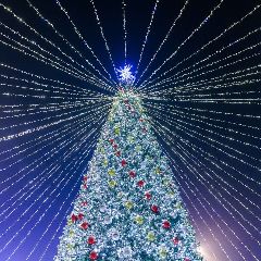 � ������������ ��������� ��� ���� �������� ��� ������� ������ (����)