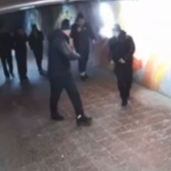 ������������� ������������ �������� ��������� ������������ ���������� ����������� �������� �� ����� ������ (�����)