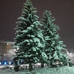 � �������� � �������� ����������� ����������