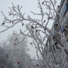 � �������� ����� ��������� ����������� �������� �������