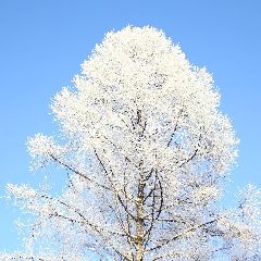 � �������������� �������� ����������, � ����� ����� ���������� ����� �� ���� �� �������