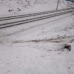 ������������ ����������� �������� ������� ����������� ������������� ������� (����)