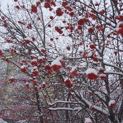 � �������� ��������� ����� �����������, ������� �� ������