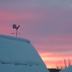 � ����������� � �������� �������� �������� �����������