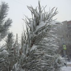 � ��������� ��� � �������� ��������� ������� � �������� ������