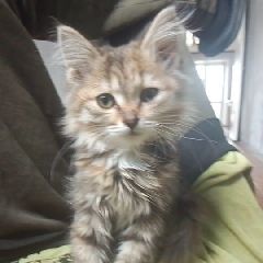 �� ������ ��������� ������ (����)