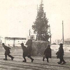 ������������ �������: � �������� ��������, ������� ����������� � ������������ � ������ ���� � ����� ������ ���� (����, �����)