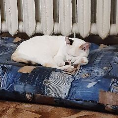 ������ �������������� ������ ������������ ������, ��� �������������� ��� �� ��