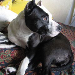 ������ ���� �������� ������ ����� ���������� � ���������� ���������, � ��� ����� ��������