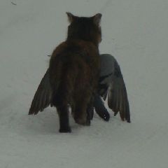 1 ������ ���� � �������� ��������� ������� � ���� �����������