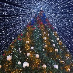 ����������� ��������� ����-� � ����� �����! (������������, ���������)