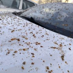 �������� ����������� �������������� ���������� ������� � ��������, ��� � �������! (����, �����)