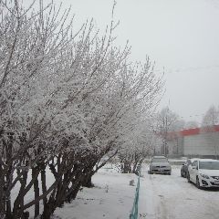 2 ������ � �������� ����� ����� � ������� �������