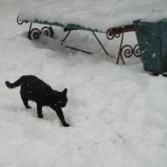 � �������� ��������� �������� ����� � ������� ����