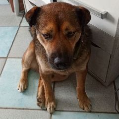 � ������������ ���� ��� ������, ������� ������ �� ����� ������ (����)