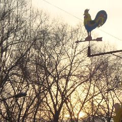 � �������� ��������� �����������