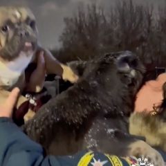 � �������� �������� ������ ���������� ����� �� �������� ���� (����, �����)