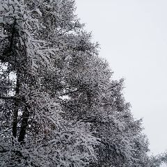 ������������ ����������� �������� ���������, ����� ���������� ����� �� ���� �� �������