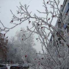 � �������� ��-�������� ������������ ������������� ������ ���� -40�C