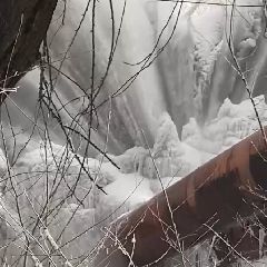 ����� ����������� �� ������������ ��� ������ �������� ������ (����, �����)