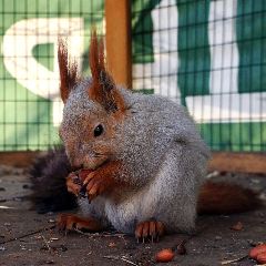 ��� �������� ����� ��������� ���������� ������ (����)