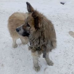 ������������� ���� ��������� ��������� �����, ���������� � ��������� (����)