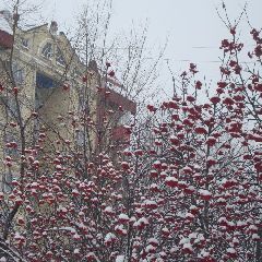 � ������������ ���������� ��������� ����� ��� ��������� ������ �� ������ ����� � ���������