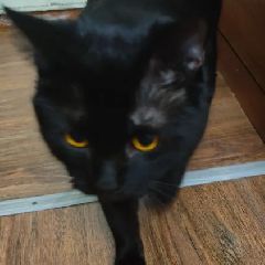 � �������� ������� ������ ����� � ������ ������� (����)