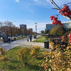 ������������� ���������� ����������, ��� ����� ���������� ����� (�����)