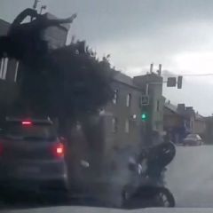 � ������������ ����� ������ ��������, ������� ��������� ������ ����� ������� �������� � ���������� ������������ (����� ������� ���)