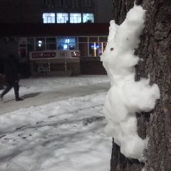 � �������� � ����� ������ ����� ��������� �� �������� ����������