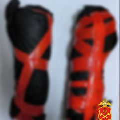 ������� ����������� ���������� ��������� �� ������������ ������� ���������� (����)