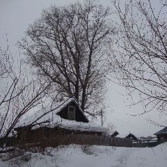 � ����������� � ������� ����� ��������� ������������ �����������