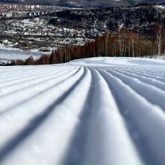 �������������� ����� �������� ������� (����)