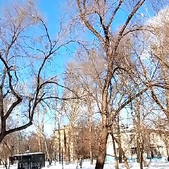 ������������� ������� �� ��� �� ��������� ������ � ���� �������� (�����)